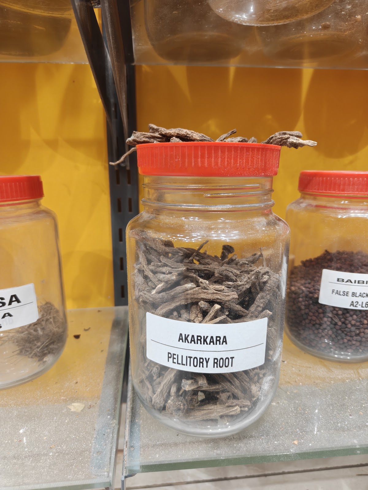 Akarkara Asli available at Mittal Spices