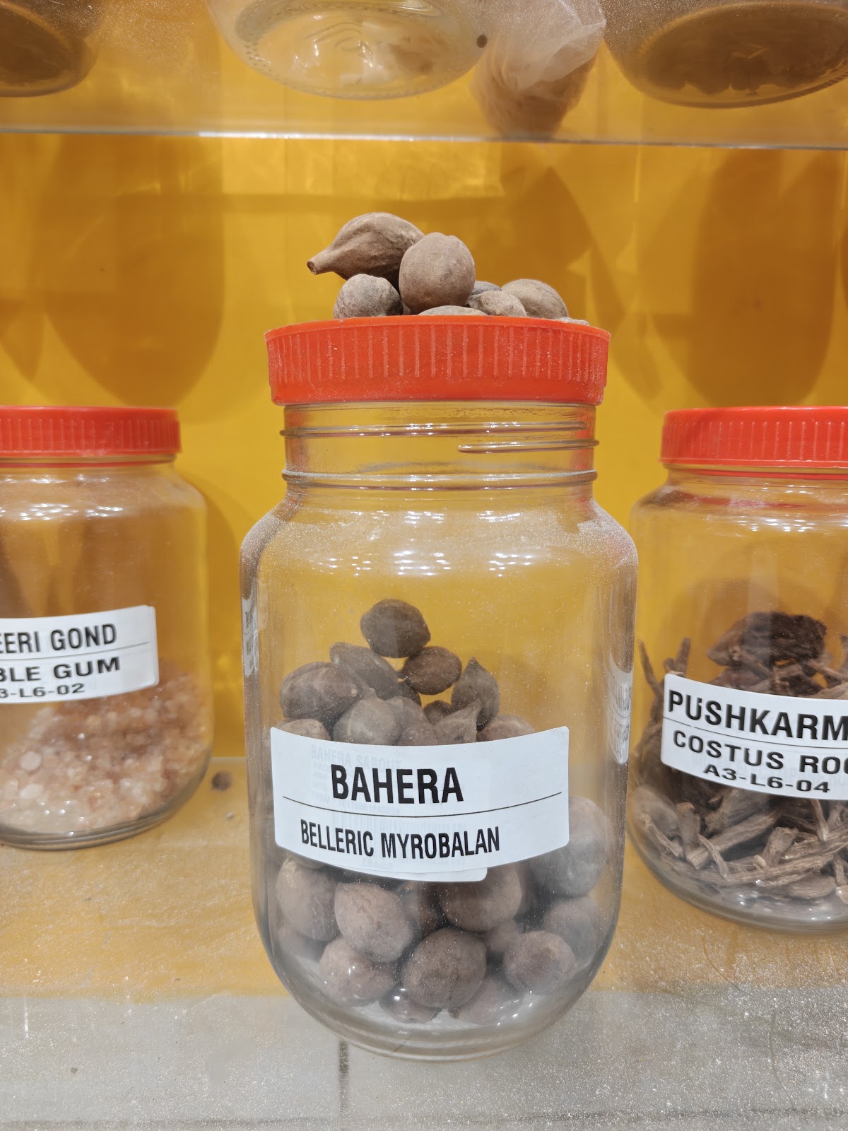 Bahera available at Mittal Spices