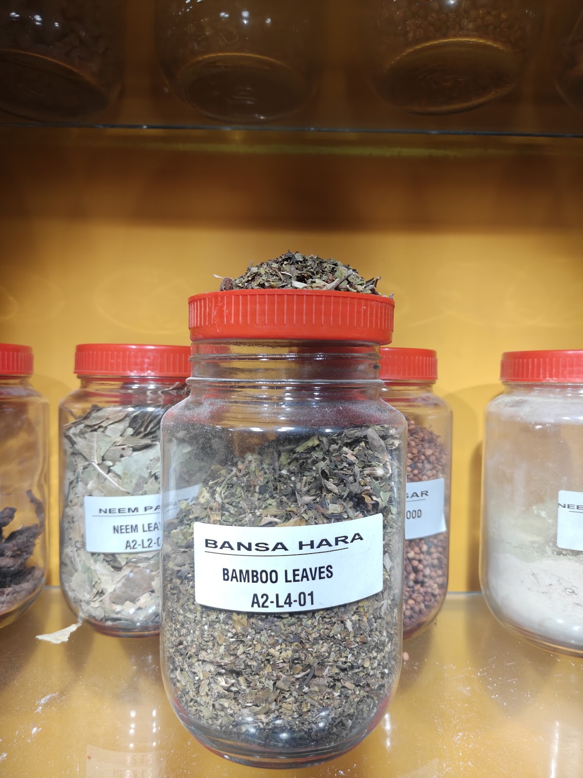 Bansa Hara